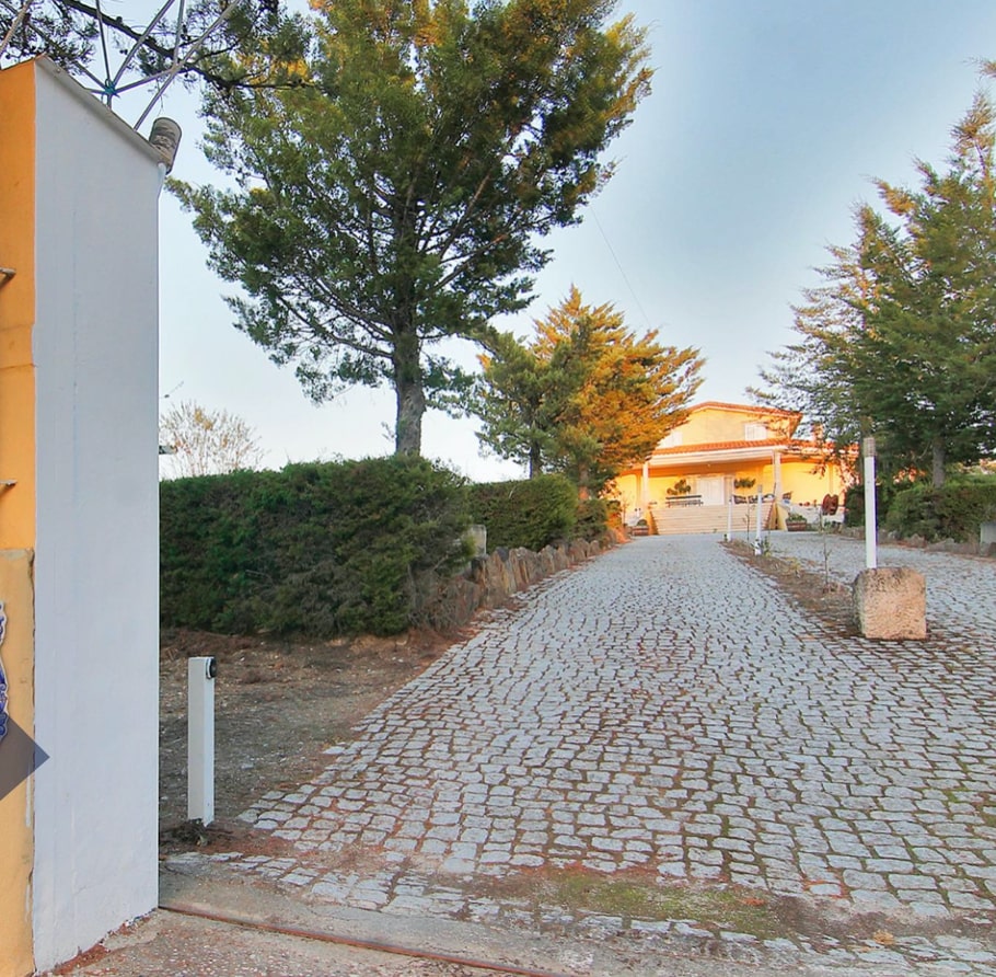 Two-storey villa on a large plot with a vineyard 2