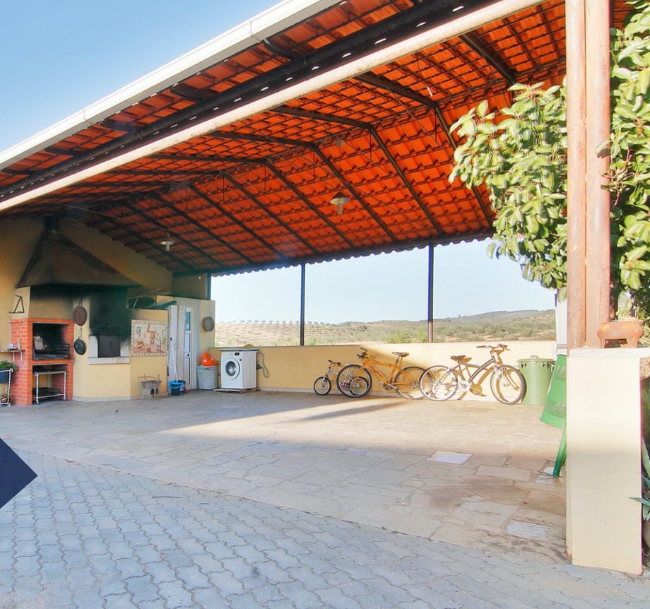 Two-storey villa on a large plot with a vineyard 15