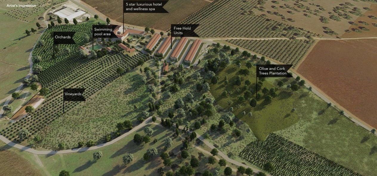 Share in a 5-star hotel complex with vineyards 11