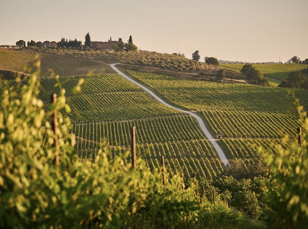 Share in a 5-star hotel complex with vineyards 10